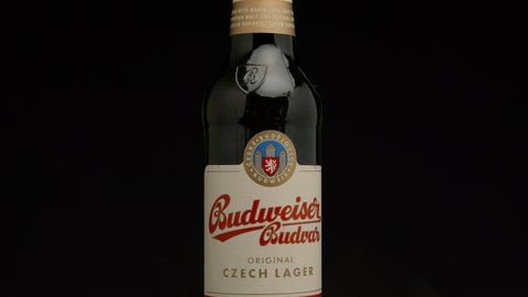  Budweiser beer label on a bottle. beer in bottle closeup.  global brand.   Lager Beer is the flagship product of Czech Republic
