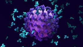 Antibodies work to neutralize SARS-CoV-2 by binding to the S protein and blocking entry (ACE2)  into a host cells - Powered by Shutterstock - Get 15% off with code: PIKWIZARD15