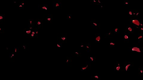 Falling of Red Rose Petals 2 clip with alpha channel. 3D rendering. Fall start to end and seamless loop easy to use place on footage or background.