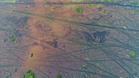 Aerial view video top down Drone fly over swamp or lake in beautiful sunrise or sunset sky Amazing nature view in the morning at Thale noi Phatthalung
