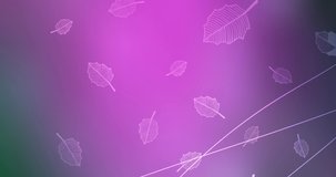 4K looping light pink, green video footage with with leaves. Holographic abstract video with simple leaves. Flicker for designers. 4096 x 2160, 30 fps.