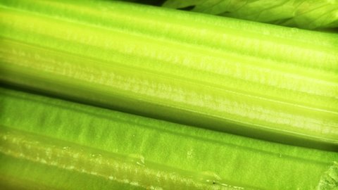 Fresh Celery stalks extreme close up stock footage