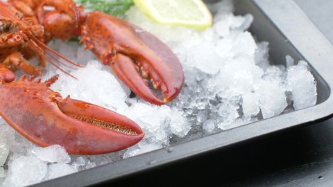 boiled lobster on ice with lemon 