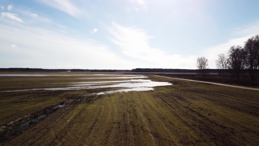 Two common cranes (Grus Grus) starting, taking off from rural agricultural field for migration flight, water puddles in the field, sunny spring day, wide angle drone shot moving forward