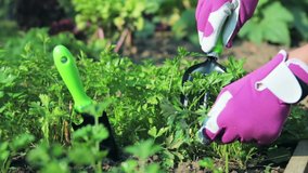 Video of Using garden tools