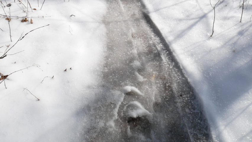 trail covered with snow in the park in winter