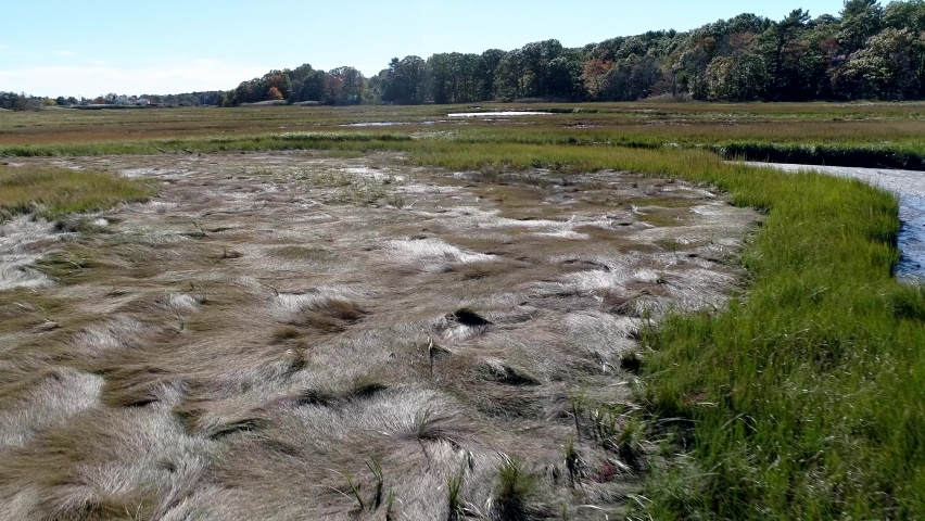 Aerial Drone - Fly Low Over Marsh Passing Over Grass Mats 4K