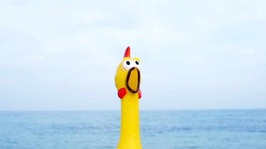 Funny and silly playful video of a rubber chicken toy at the beach. Chicken is looking in different directions surprised by the sea or ocean. Overwhelmed with emotions. Comical scene. Traveling humor. Royalty-Free Stock Footage #1069524430