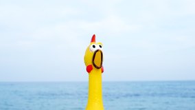 Funny and silly playful video of a rubber chicken toy at the beach. Chicken is looking in different directions surprised by the sea or ocean. Overwhelmed with emotions. Comical scene. Traveling humor.