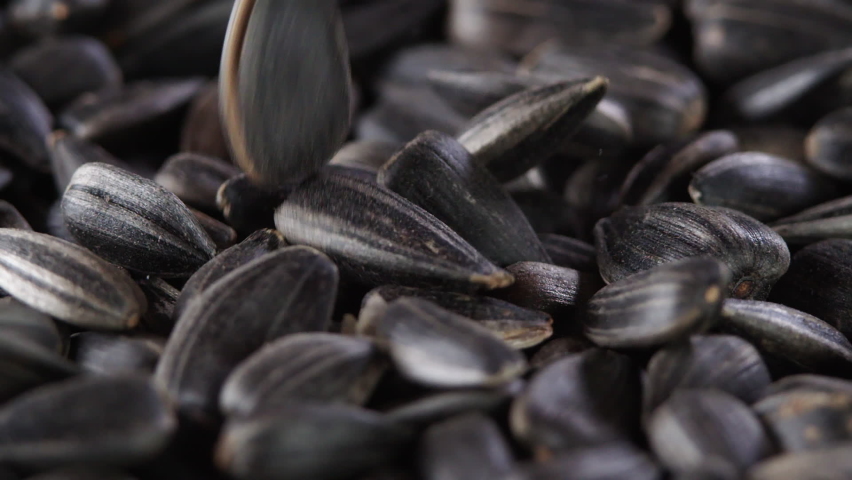 The sunflower seeds on a plate close-up. The sunflower seeds after harvest. Pile of Dried Sunflower Unpeeled Seeds, a Healthy Source of Vitamins in Vegan Food. Royalty-Free Stock Footage #1069533631