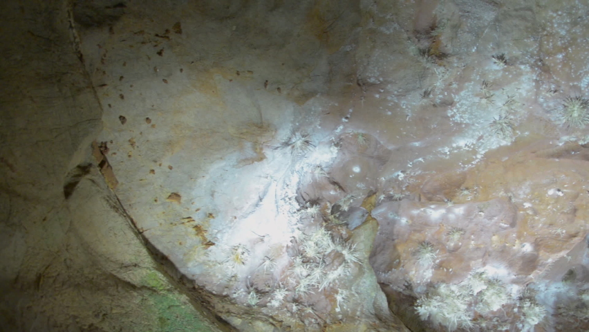 Panning, low angle, ceiling of the Skyline Caverns, Virginia, USA