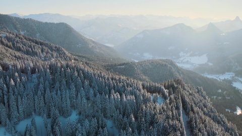 Aerial dolly out shot hiding a valley behind a pine tree forest in Bavaria, Germany