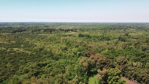 Aerial Drone Shot Over a Forest in El Tigre, Buenos Aires, Argentina.