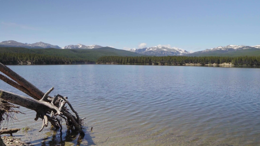 The roots of two downed trees on the shore of Park Reservoir with Clouds Peak Wilderness in the background in Bighorn National Forest in Wyoming