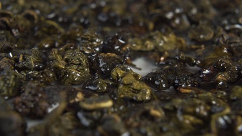 Soaking steeping dry green tea leaves. Brewing. Close-up of water absorption. Macro shot