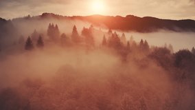 Horror fog sunset on mountain aerial. Red mist over spooky pine forest. Nobody sun nature landscape. Foggy clouds at scary wild coniferous trees. Cottage at fir wood in bloody shadows. Cinematic shot - Powered by Shutterstock - Get 15% off with code: PIKWIZARD15