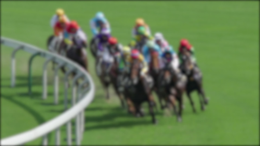Unfocused shot of Horse race compete on a grass track. (Slow Motion)