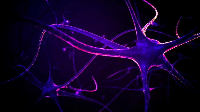 Neurons structure sending electric impulses and communicating each other. 3D animation in pink and violet colors. Royalty-Free Stock Footage #1069588573