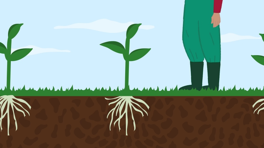 Корень гиф. 200 Veg-growing Basics. Growing Wheat Clipart.