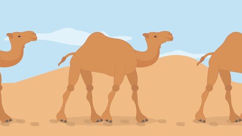 Camel is the ship of the desert animation
