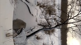 A tree bent over a frozen river at sunset in winter. Vertical video shot with smartphone - Powered by Shutterstock - Get 15% off with code: PIKWIZARD15