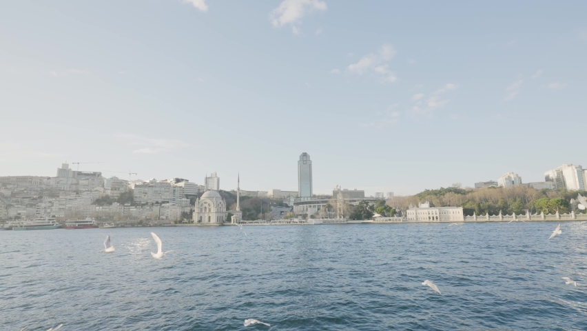 Seagulls fly over water on background of city on coast. Action. Many gulls flying off coast of Turkish city. Seagulls fly on background of beautiful sunny coast of Turkey