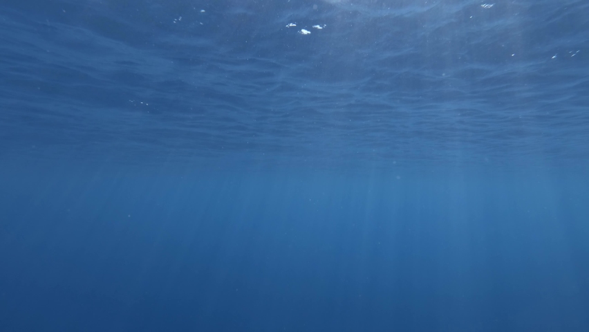Surface of blue water. Natural background with sun rays on surface of blue water. Blue water surface of sea reflection of sun's rays. Underwater shot, Slow-motion | Shutterstock HD Video #1069613581