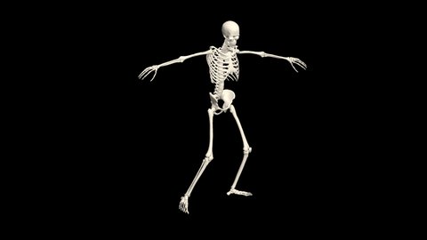 Dancing Skeleton 3d 3d Skeleton Dance Stock Footage Video (100% Royalty ...