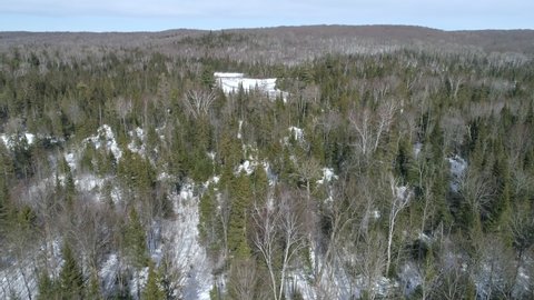 Aerial - Spring Forest - Northern Ontario Canada