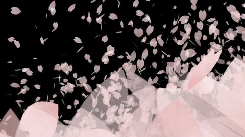 Three types of cherry blossom confetti transitions. They can be made transparent using the Luminance key.