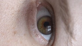 Close-up of female eye, macro shot Vertical video