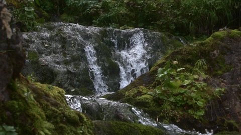 Tropical waterfall with rainy forest. Stream flows down mossy stone slope. Jet of water breaks on rocks and splashes. Boulders are covered with greenery and ferns