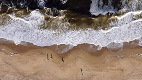 Aerial beach flying over surfing waves. Drone view at Dee Why, Sydney, NSW, Australia. Surfers surfing.