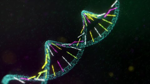 3D Animation Of DNA Molecule Structure Emerging And Rotating On Black Background. Colorful Grooves. Polynucleotide Chains. DNA Double Helix. Medical Research. Genetics Information. Computer Graphics.
