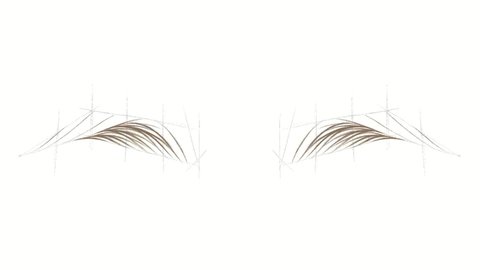 
Stages of drawing eyebrows. Asian eyebrows. Microblading scheme. We draw hairs on the eyebrows. Hair by tattooing. Training material for the tattoo artist. Eyebrow styling scheme. Natural tattoo