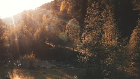 Aerial of sun mountain river. Autumn nobody nature landscape. Sunflare over colorful fall forest. Environment. Leaf trees at sunny day. Tourist landmark. Relax, recreation. Mount stream flow at wood