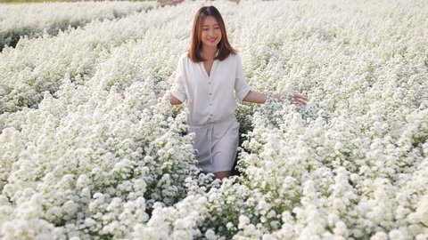 4K Young beautiful Asian woman walking in the nature of little white cutter daisy flowers field in springtime. Happy female using hand touching and stroking fresh white blossom plant in flower garden