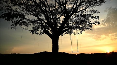 Silhouette of a wooden swing under the tree. Lonely and relaxing golden light on sunset on summer holiday.