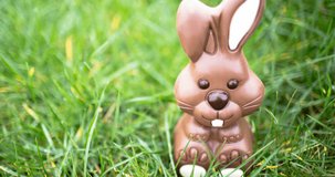 Animation of chocolate easter bunny on grass background. easter celebration, springtime and tradition concept digitally generated video.