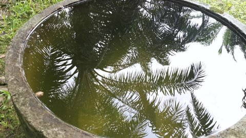 reflective scene on the surface of the concrete well's water
