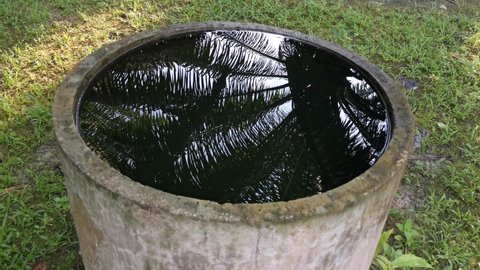 reflective scene on the surface of the concrete well's water
