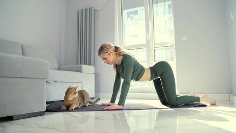 young attractive sporty fitness woman engaged in physical exercise. Female practicing yoga on a flexible body mat at home in the living room with a funny cat pet. Stretching or Pilates for weight loss