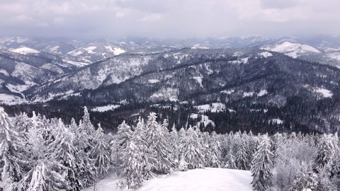 aerial view of winter carpathian mountains copy space