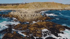 Aerial drone shot over the Chilean beach, cinematic and stabilized video moving over the rocks as they are hit by waves aerial video and travel concepts