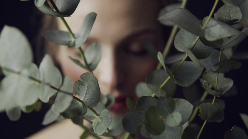 Woman's face with clean skin and natural make-up among eucalyptus branches on a dark background. Advertising of natural cosmetics and beauty products. Skin care. Eucalyptus Hydrolat. | Shutterstock HD Video #1069824733