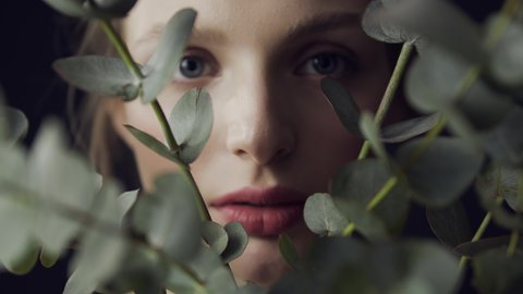 Woman's face with clean skin and natural make-up among eucalyptus branches on a dark background. Advertising of natural cosmetics and beauty products. Skin care. Eucalyptus Hydrolat.