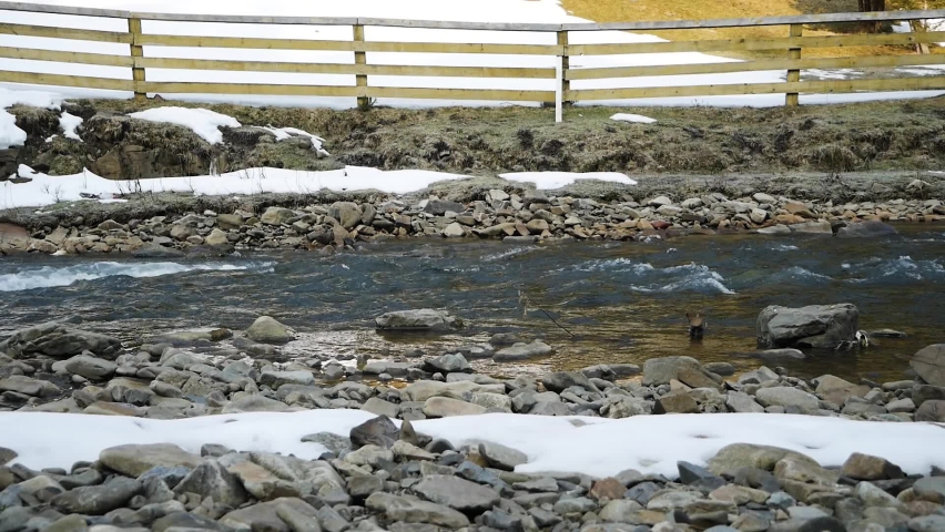 Young Man With Poles Hiking Along River