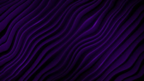 4k 3D animation of rows and rows of colorful purple stripes rippling. Colorful wave gradient animation.. Future geometric patterns motion background. 3d rendering