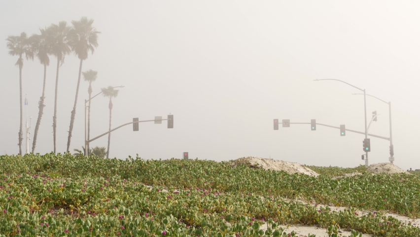 Traffic light semaphore, highway road by sandy misty beach, Encinitas California USA. Pacific ocean coast, fog on sea shore. Coastline near Los Angeles, palms in smog haze. Gloomy weather on shoreline