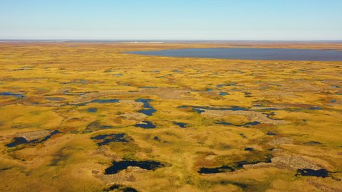 Tundra in autumn. Aerial view. Yellow. Small streams, small lakes. A large lake in the background. Orange